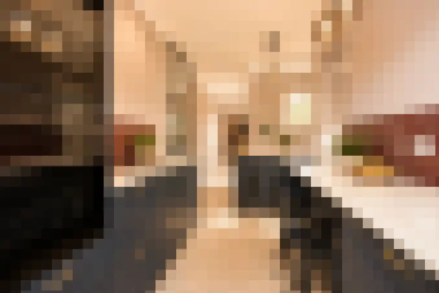 Alexander Gogelweg 69 Den Haag thumbnail 14