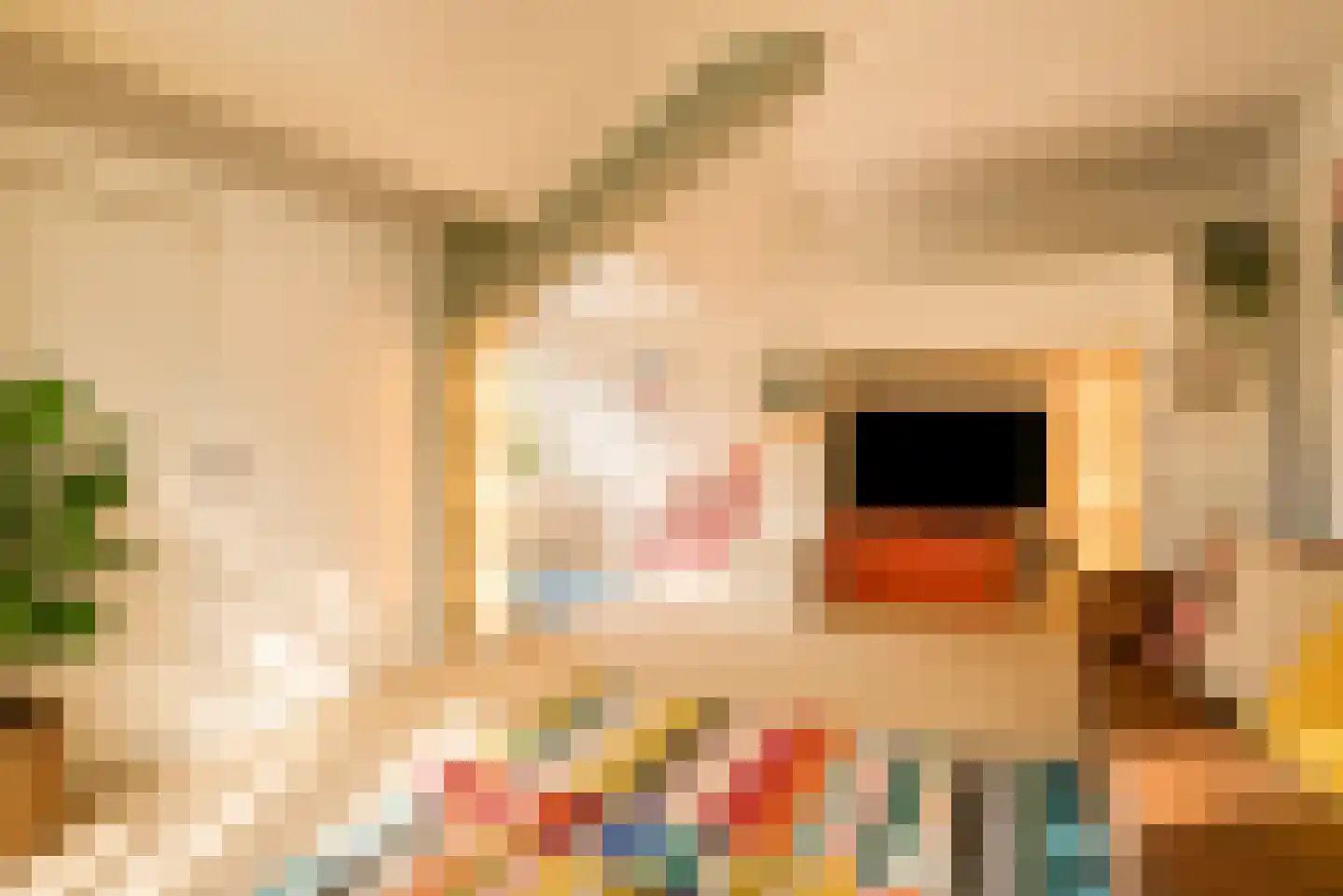 Alexander Gogelweg 69 Den Haag thumbnail 19