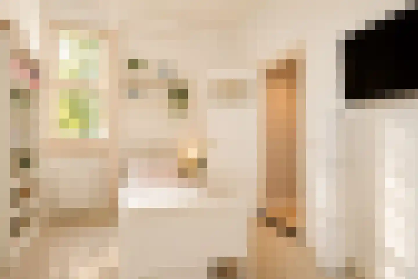 Alexander Gogelweg 69 Den Haag thumbnail 20