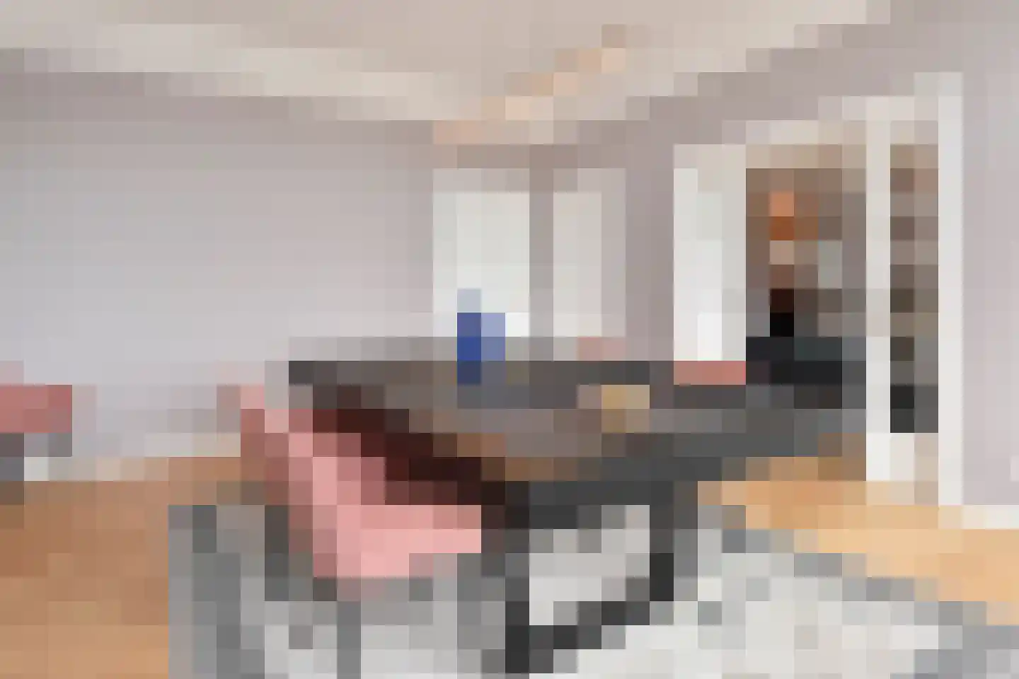 Alexander Gogelweg 69 Den Haag thumbnail 23