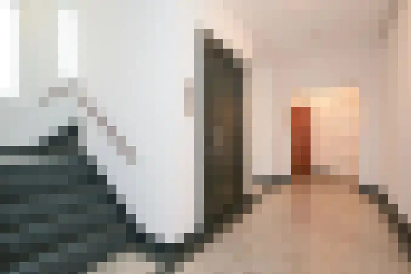 Alexander Gogelweg 69 Den Haag thumbnail 24