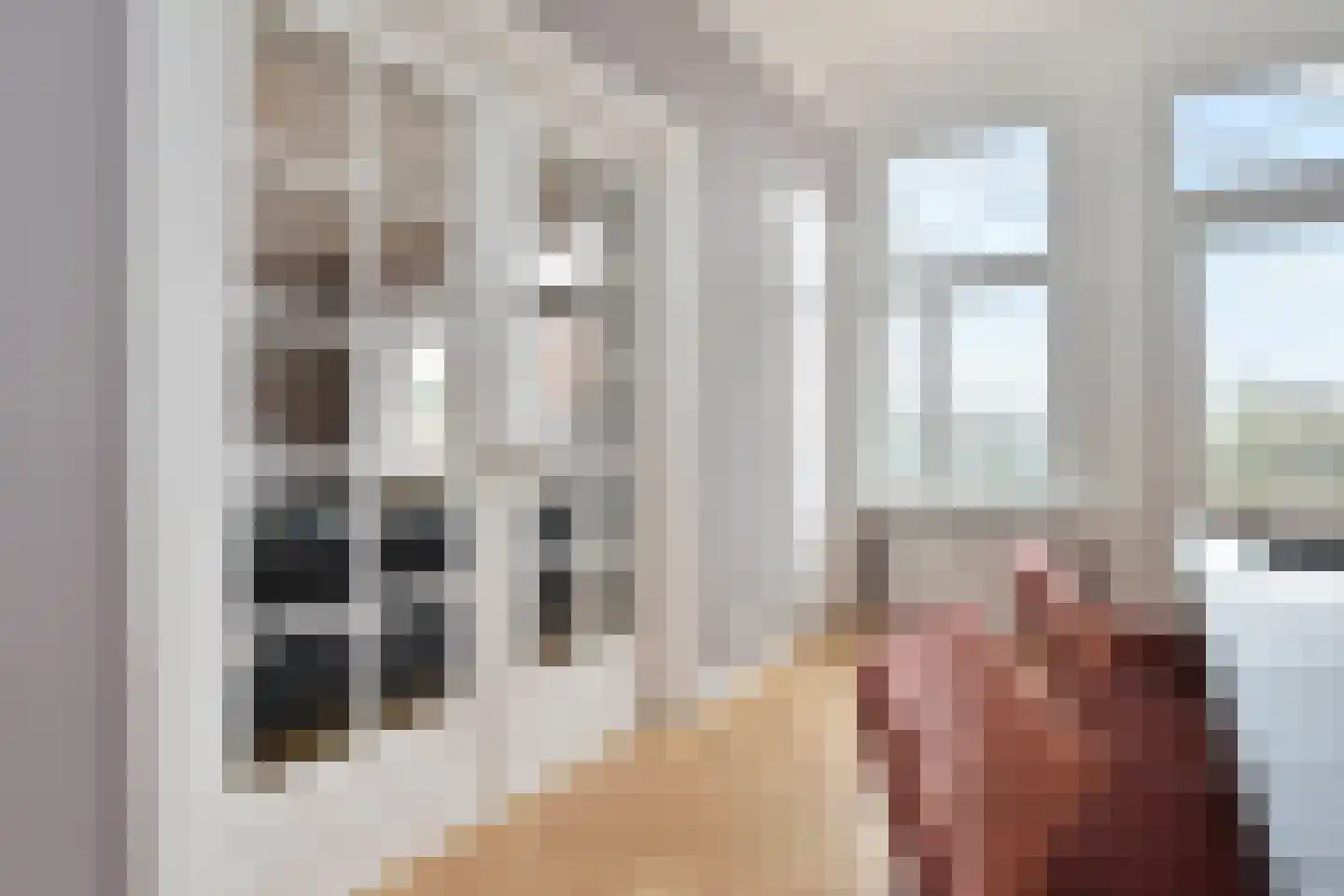 Alexander Gogelweg 69 Den Haag thumbnail 26
