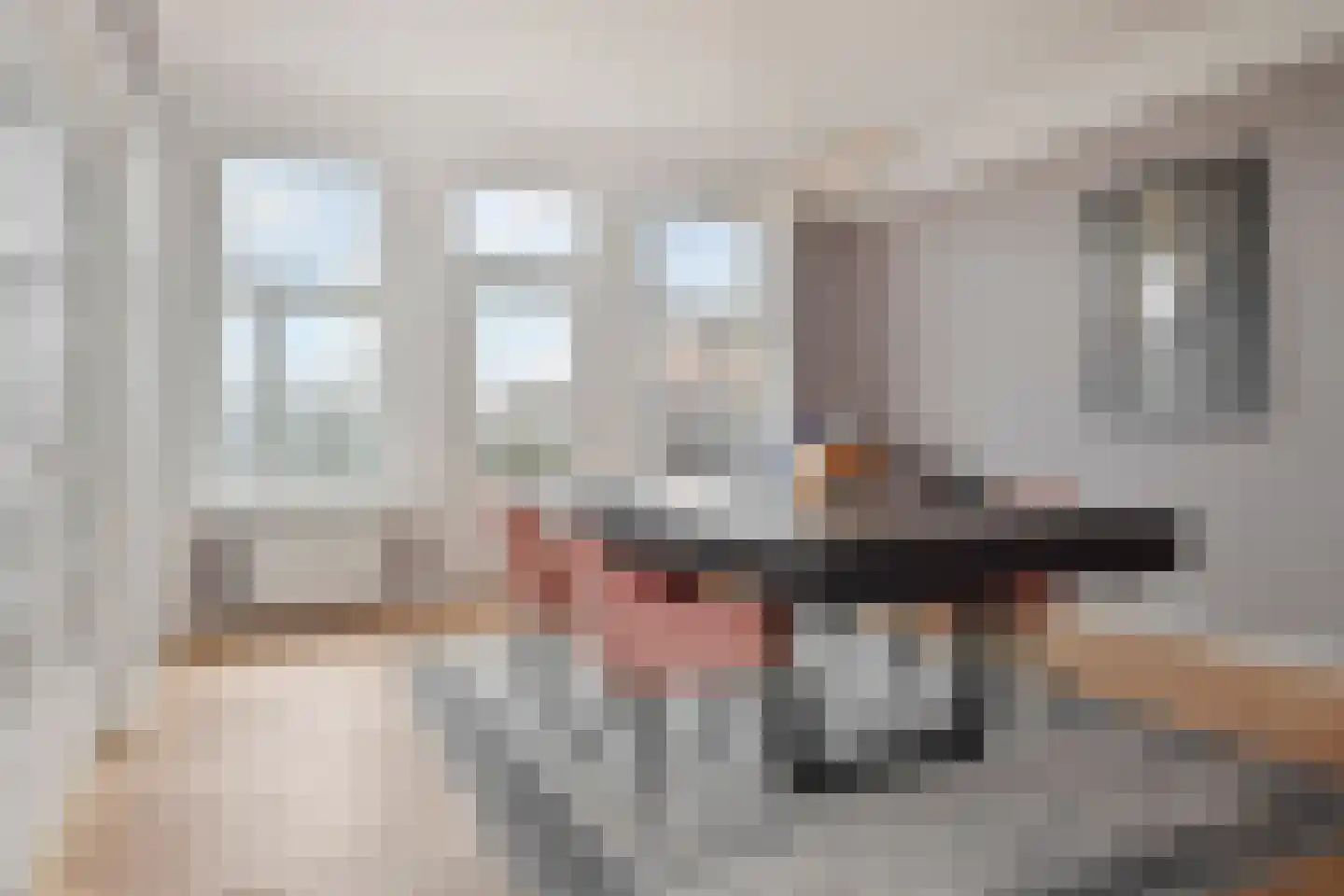 Alexander Gogelweg 69 Den Haag thumbnail 27