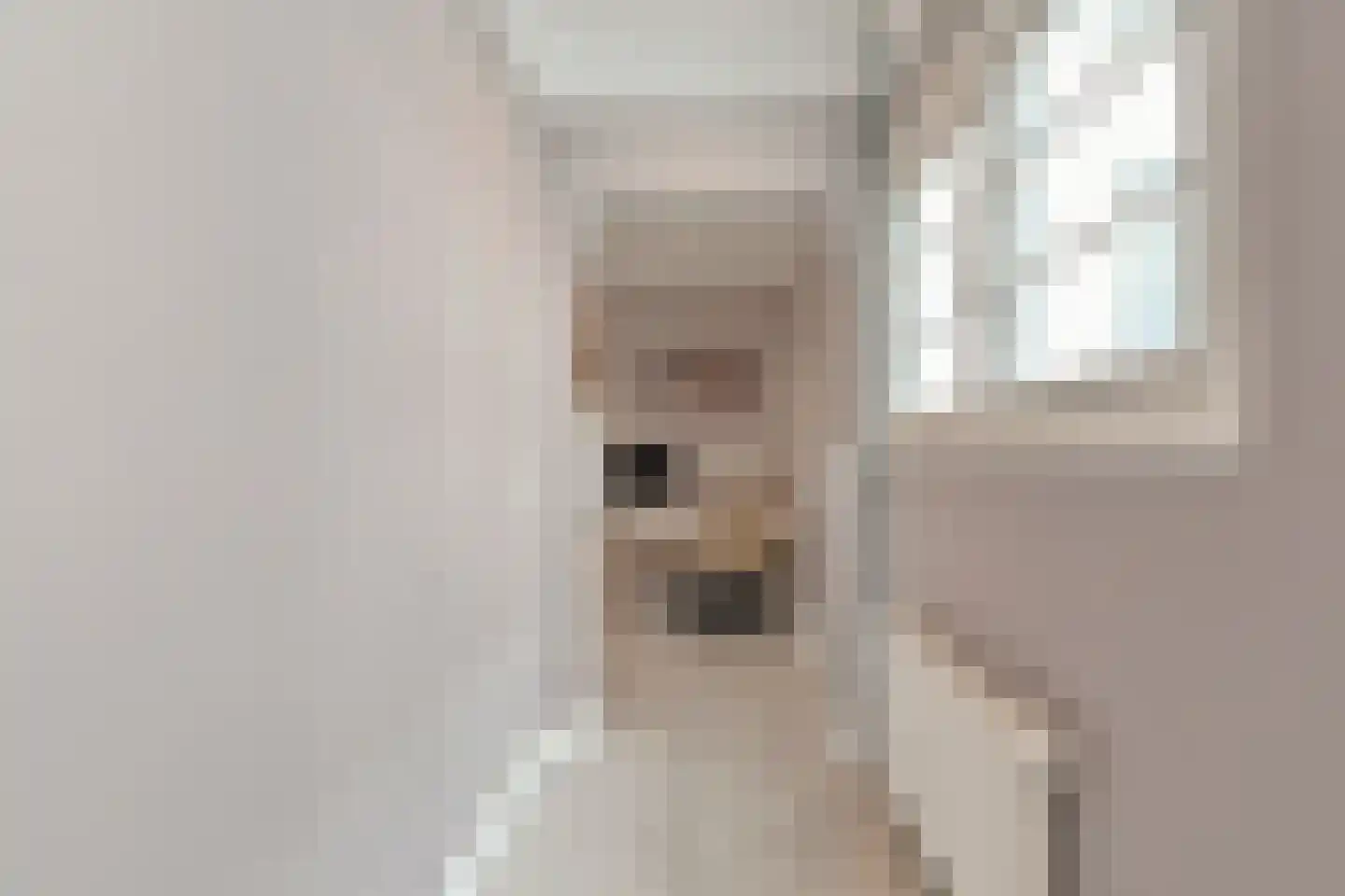 Alexander Gogelweg 69 Den Haag thumbnail 28