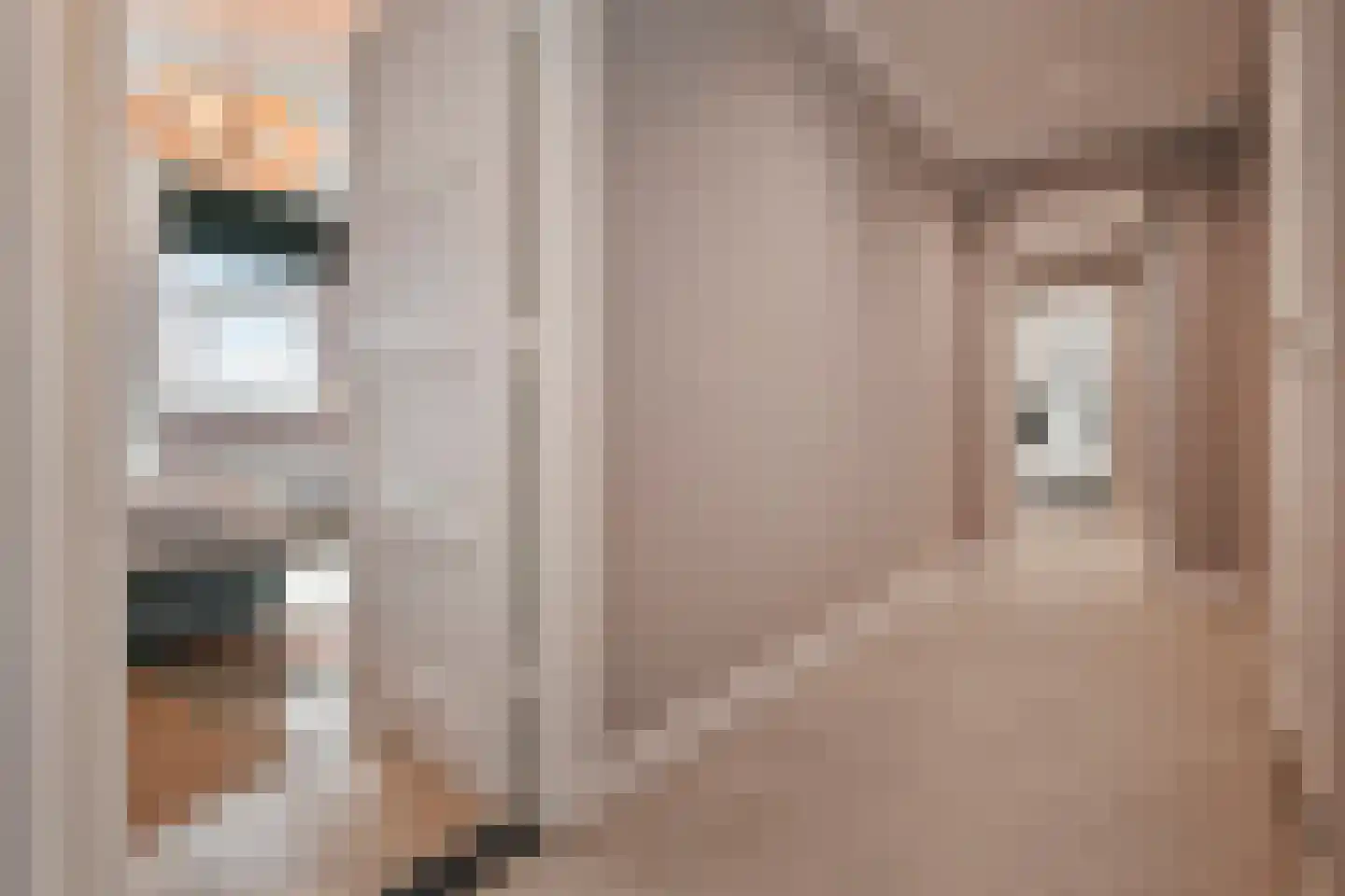 Alexander Gogelweg 69 Den Haag thumbnail 31