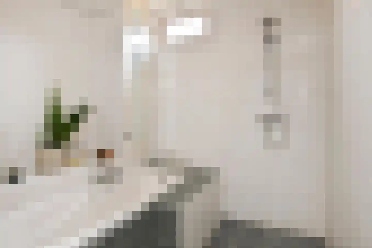 Alexander Gogelweg 69 Den Haag thumbnail 35