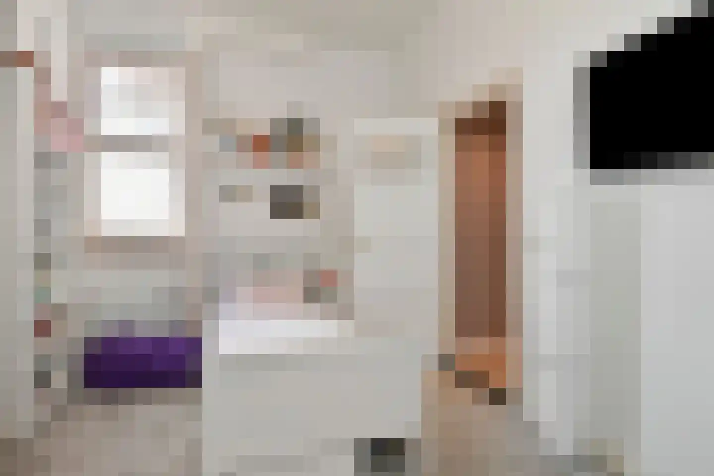 Alexander Gogelweg 69 Den Haag thumbnail 37