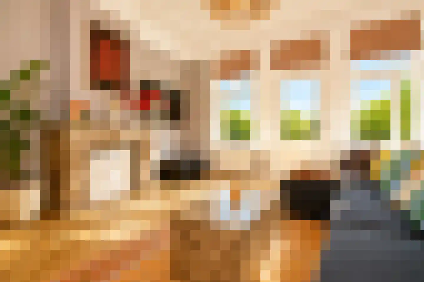 Alexander Gogelweg 69 Den Haag thumbnail 5