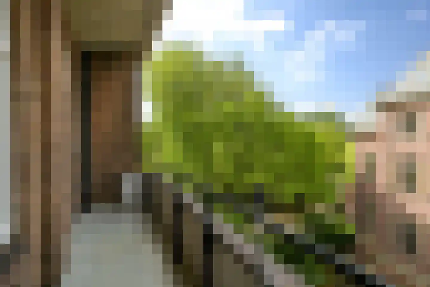 Alexander Gogelweg 75 Den Haag thumbnail 27