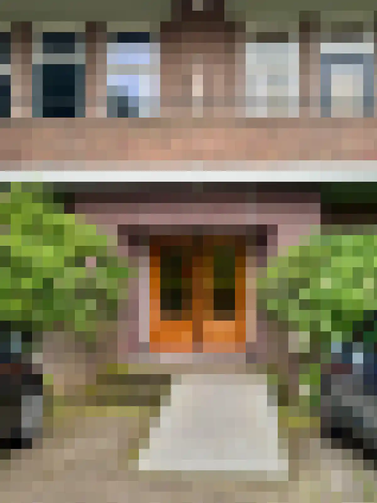 Alexander Gogelweg 75 Den Haag thumbnail 36