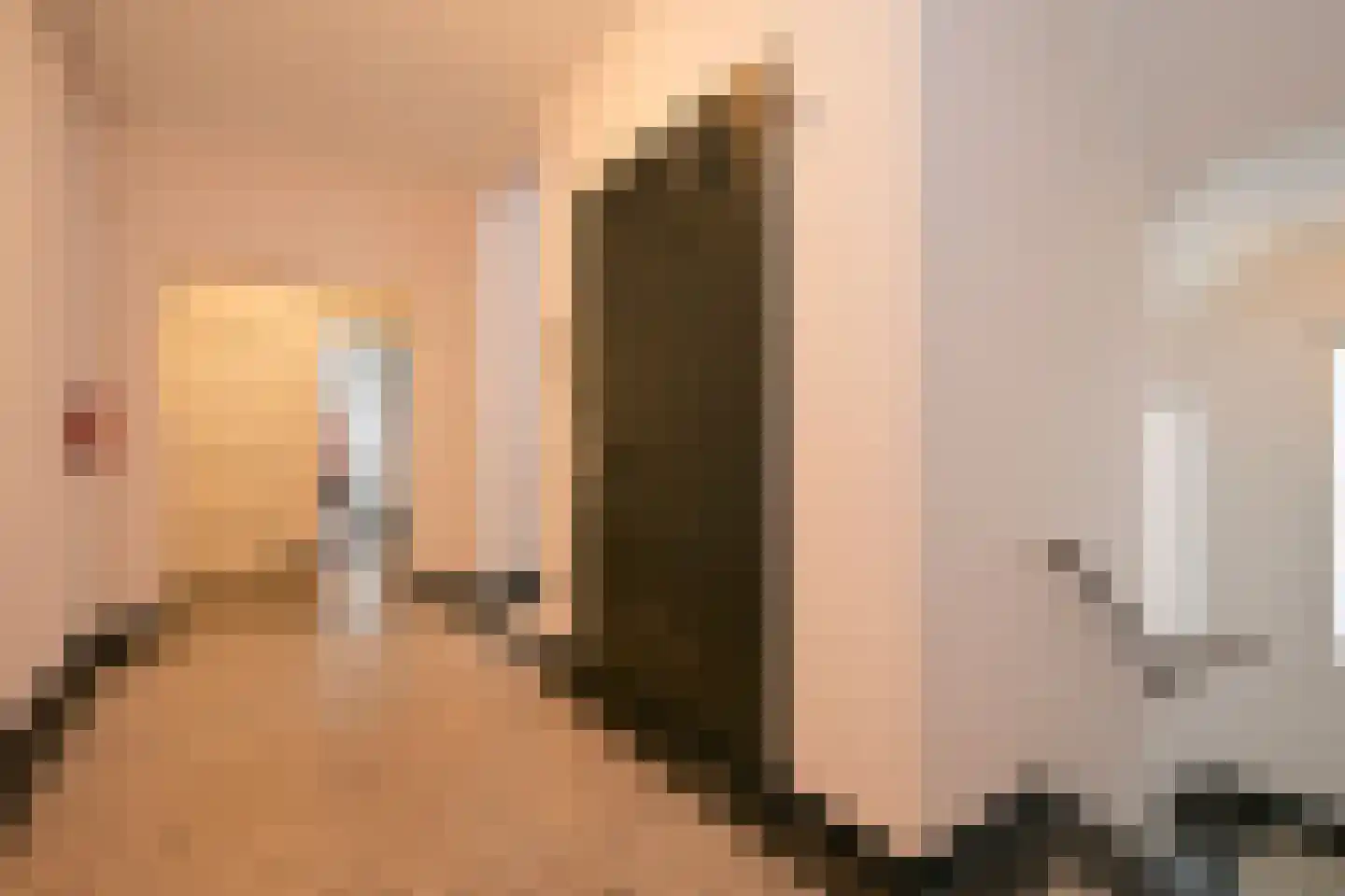 Alexander Gogelweg 75 Den Haag thumbnail 9