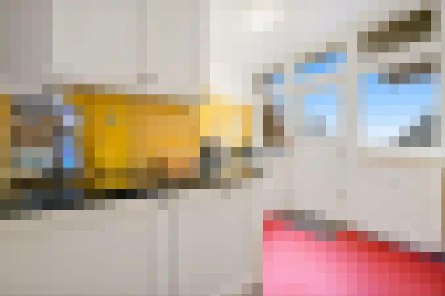 Alexander Gogelweg 77 Den Haag thumbnail 19