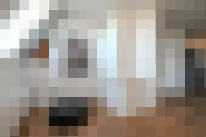 Alexander Gogelweg 81 Den Haag thumbnail 13