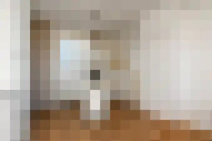 Alexander Gogelweg 81 Den Haag thumbnail 16