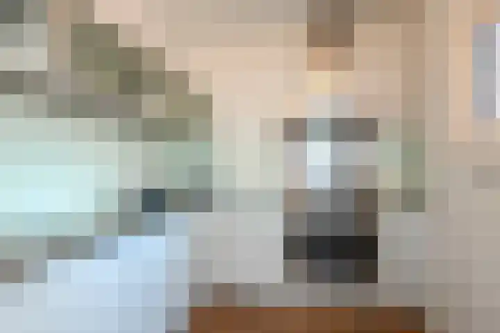 Alexander Gogelweg 81 Den Haag thumbnail 19