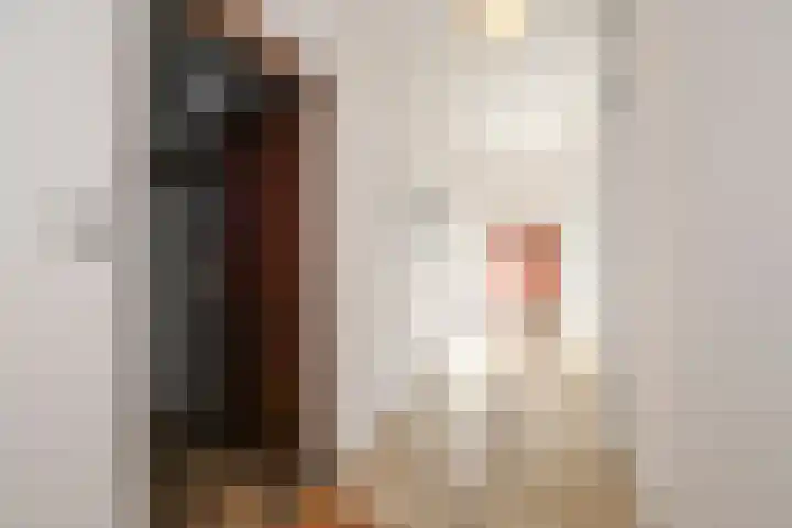 Alexander Gogelweg 81 Den Haag thumbnail 5