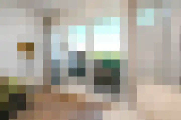 Alexander Gogelweg 81 Den Haag thumbnail 8
