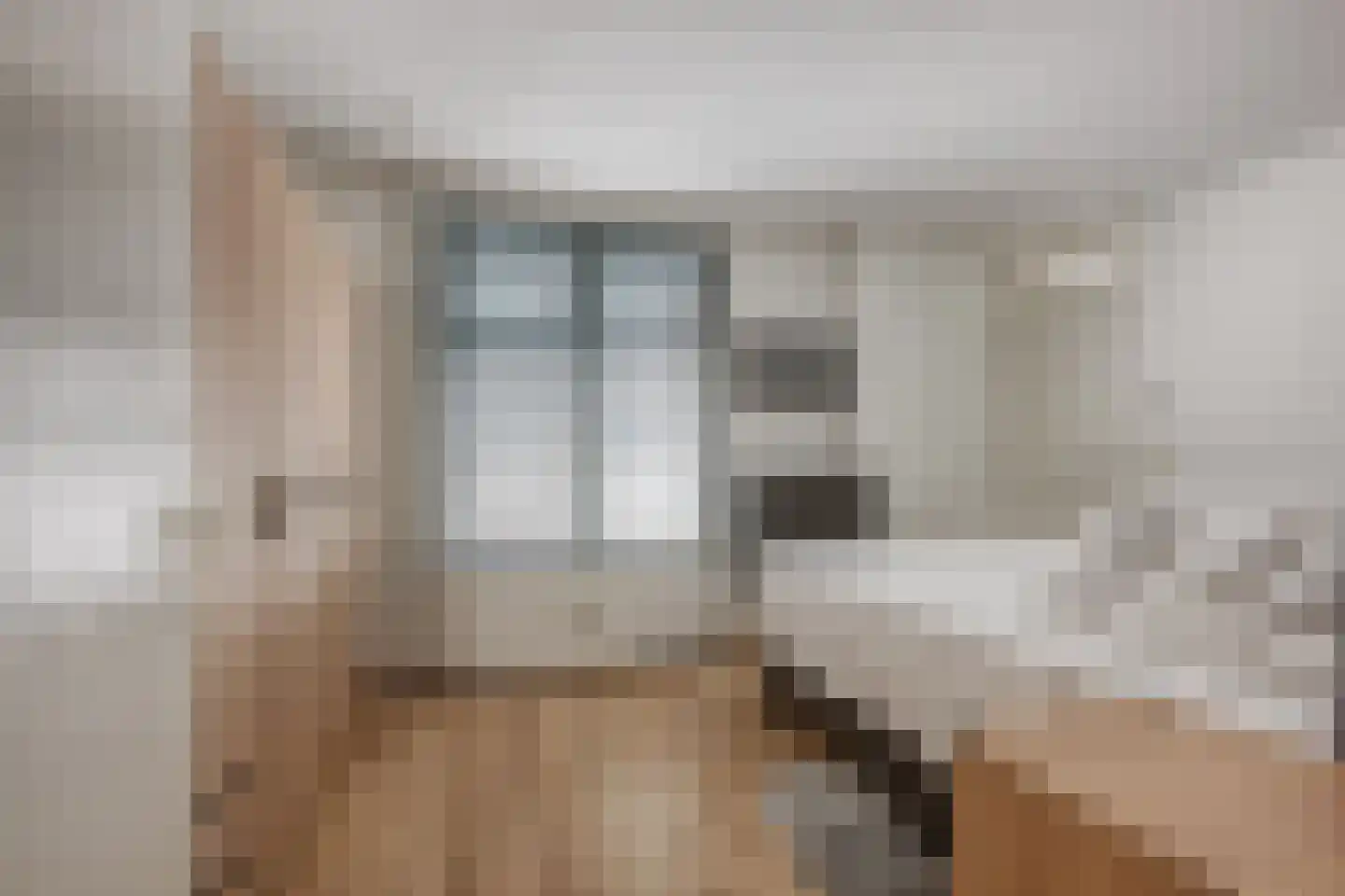 Alexander Gogelweg 91 Den Haag thumbnail 18