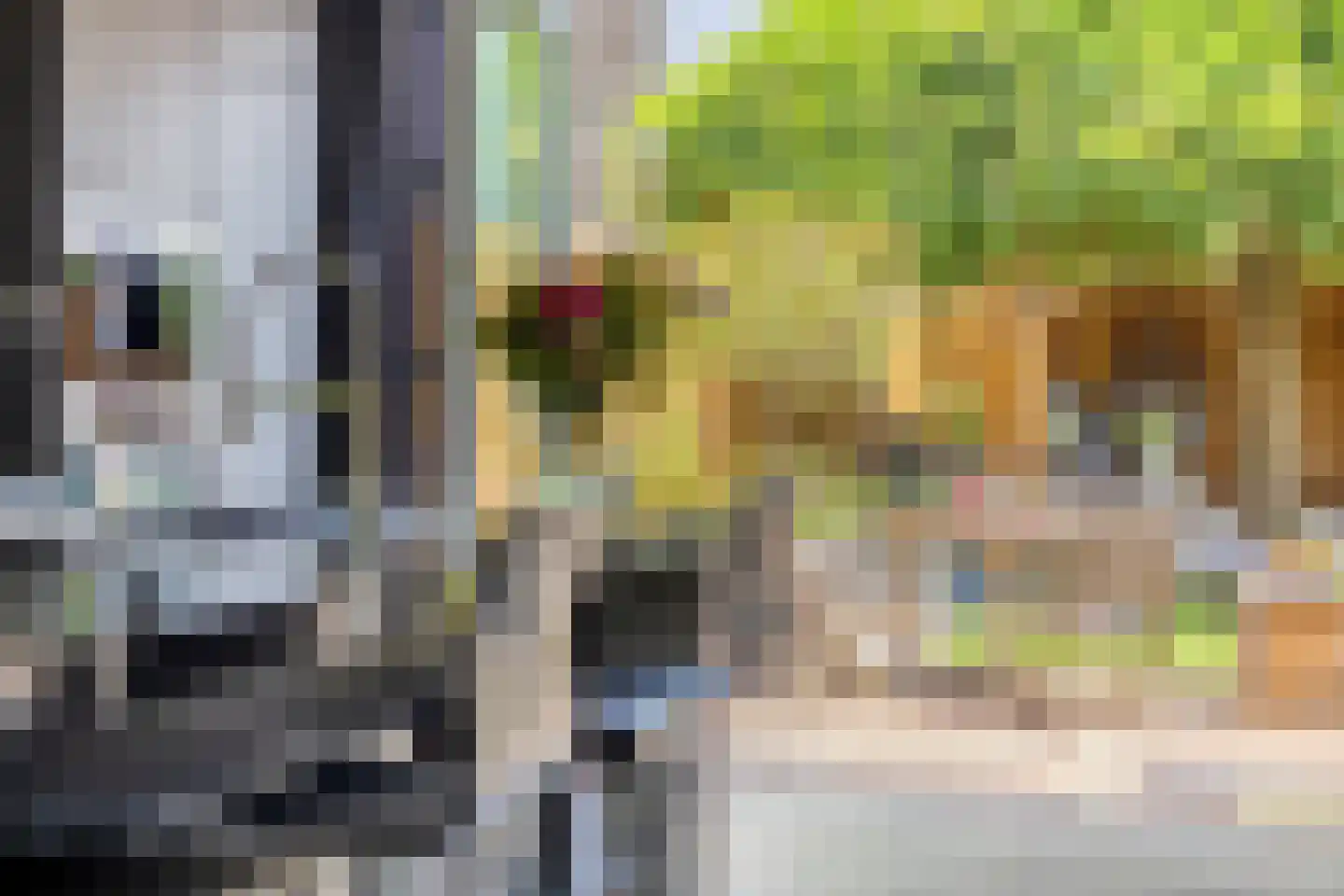Alexander Idenburgstraat 10 Roermond thumbnail 12