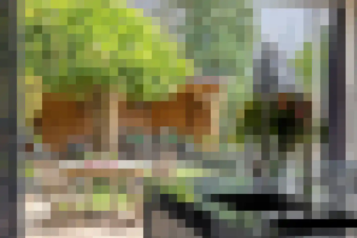 Alexander Idenburgstraat 10 Roermond thumbnail 13
