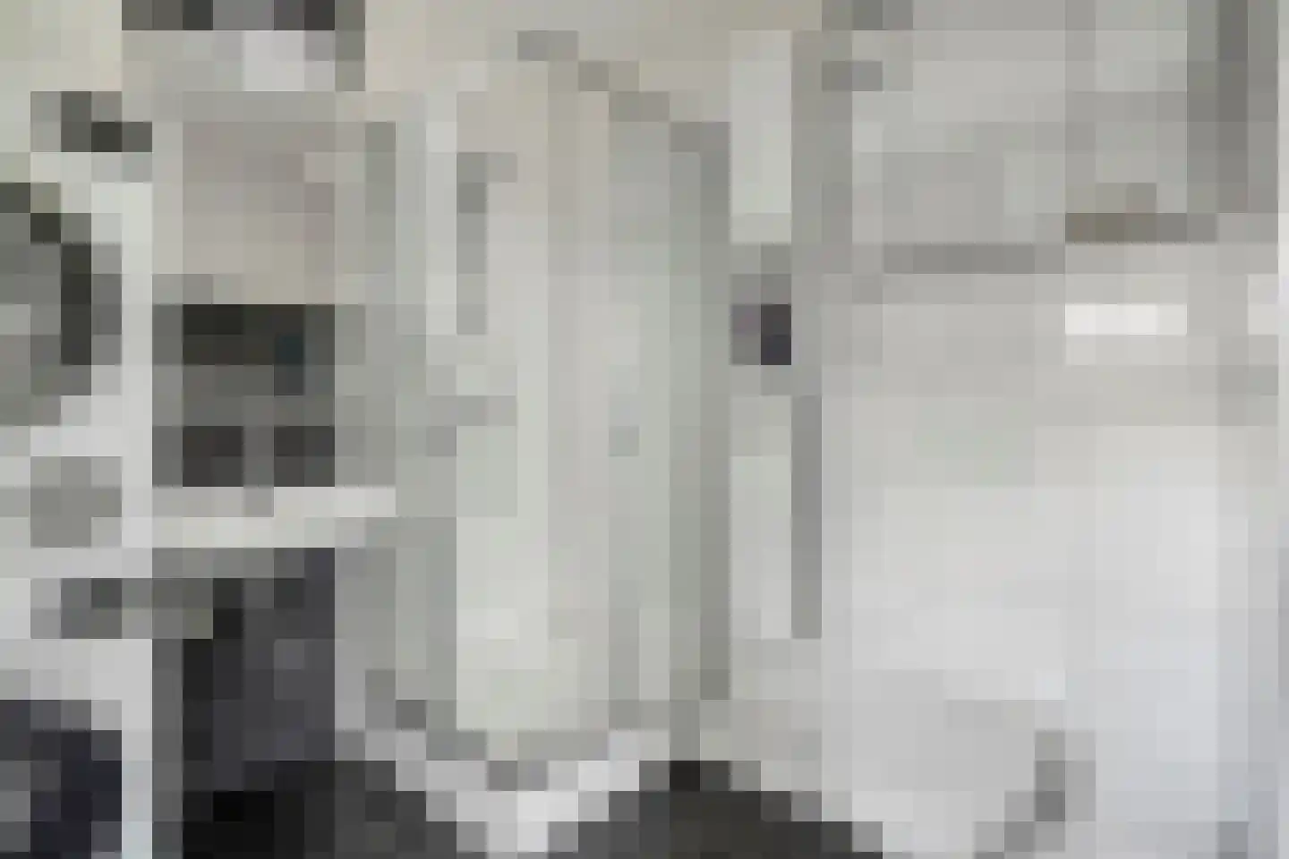 Alexander Idenburgstraat 10 Roermond thumbnail 24
