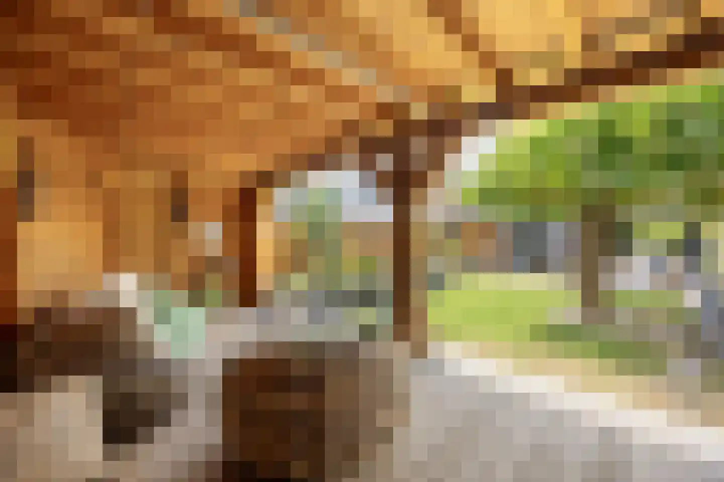 Alexander Idenburgstraat 10 Roermond thumbnail 28