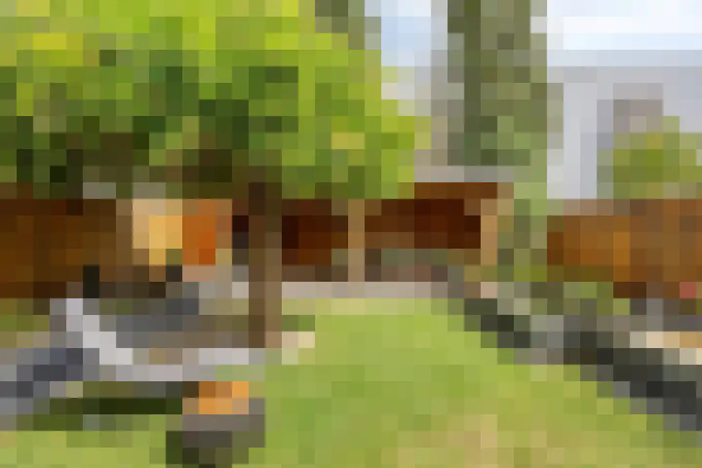 Alexander Idenburgstraat 10 Roermond thumbnail 33