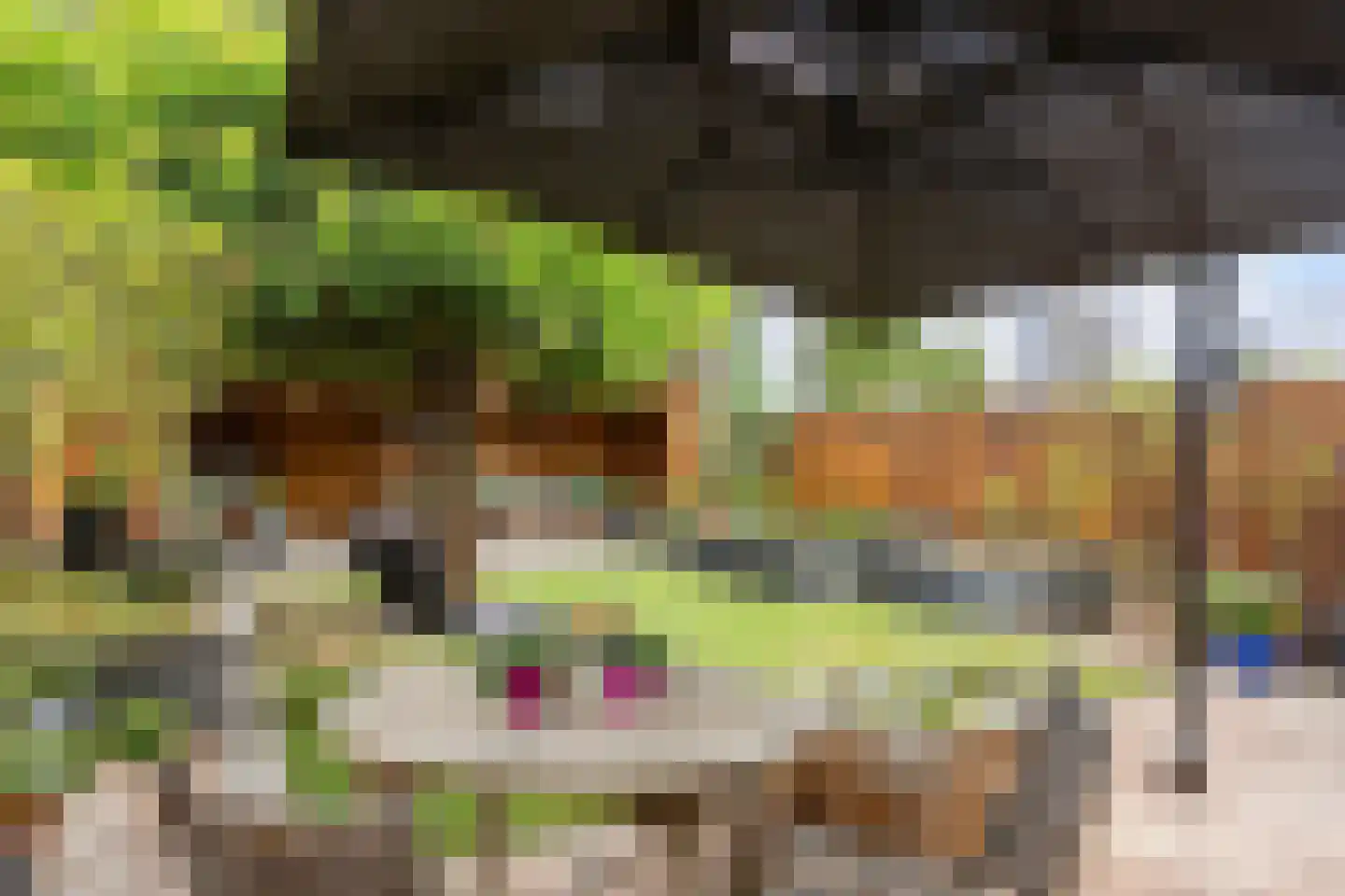 Alexander Idenburgstraat 10 Roermond thumbnail 36