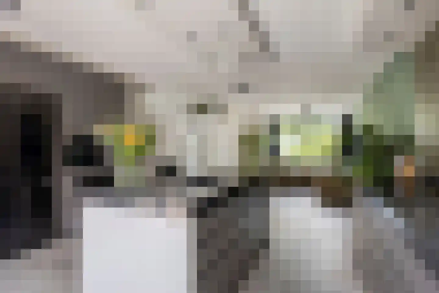Alexander Idenburgstraat 10 Roermond thumbnail 4