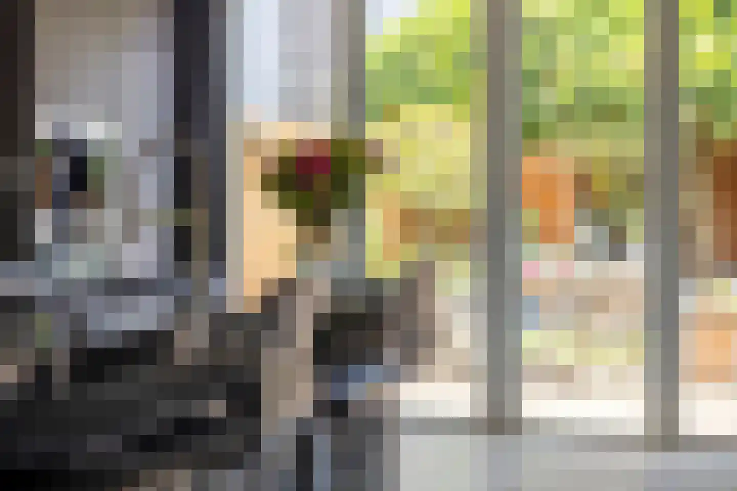 Alexander Idenburgstraat 10 Roermond thumbnail 6