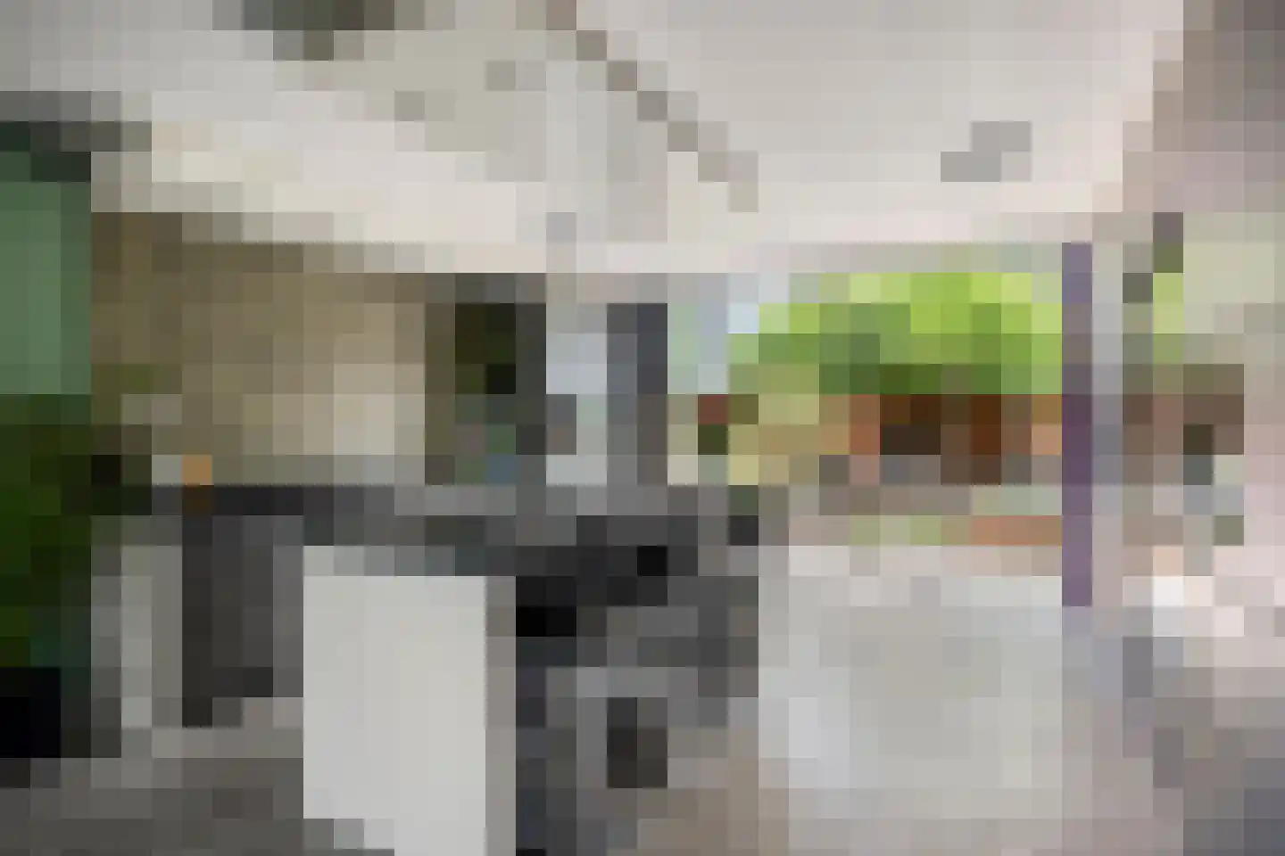 Alexander Idenburgstraat 10 Roermond thumbnail 9