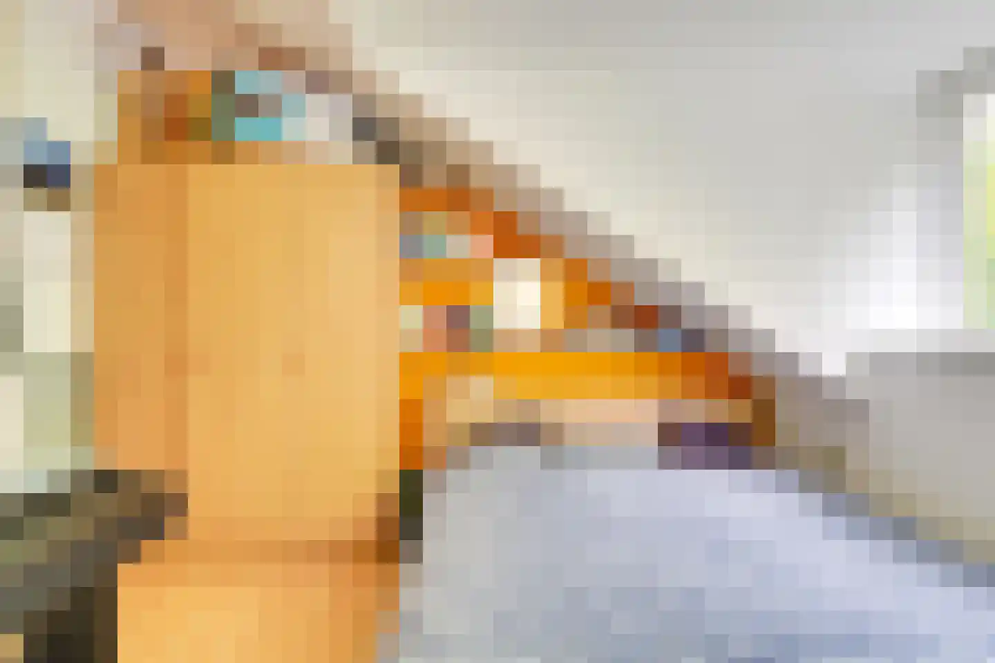 Alexander Numankade 17 Utrecht thumbnail 10