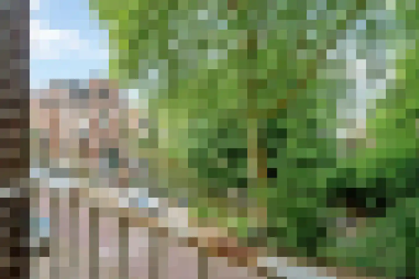 Alexander Numankade 17 Utrecht thumbnail 14