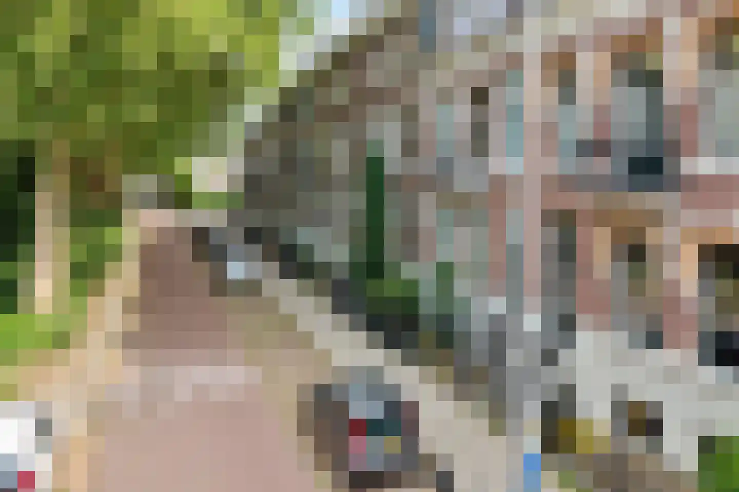 Alexander Numankade 17 Utrecht thumbnail 15