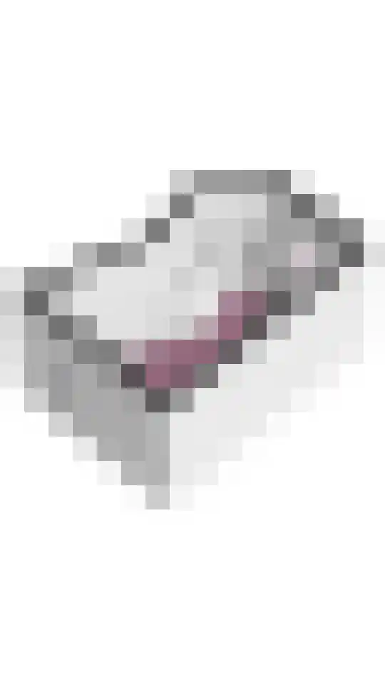 Alexander Numankade 17 Utrecht thumbnail 17