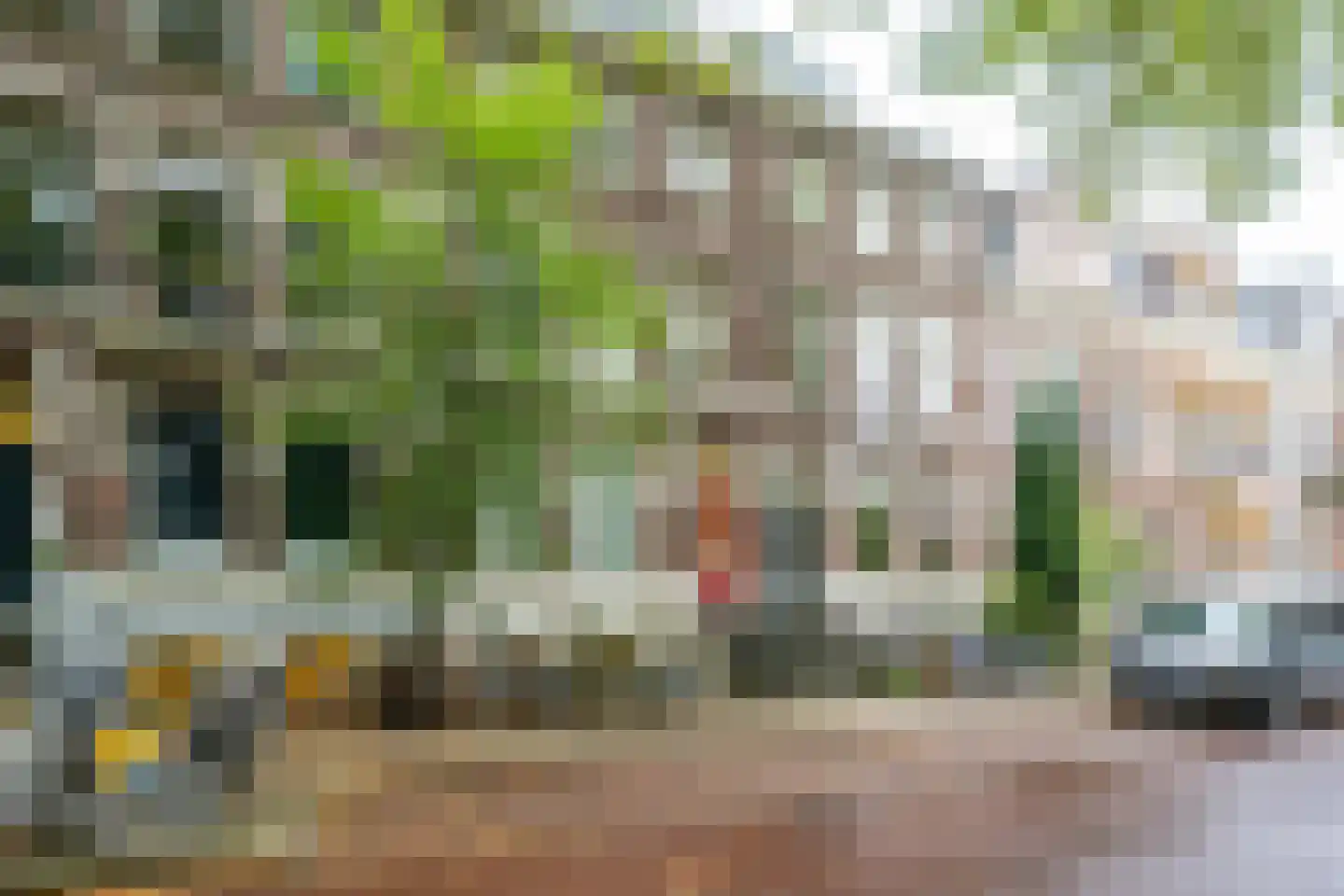 Alexander Numankade 17 Utrecht thumbnail 19