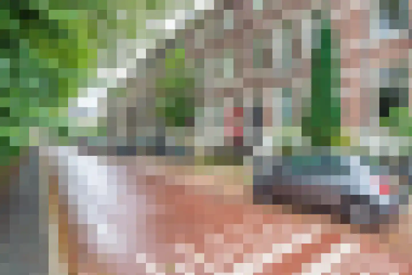Alexander Numankade 17 Utrecht thumbnail 21