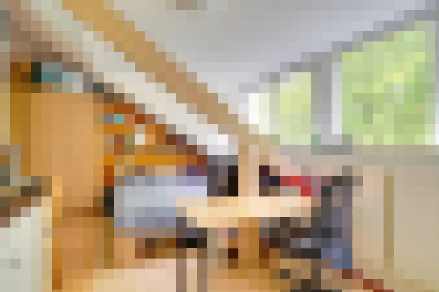 Alexander Numankade 17 Utrecht thumbnail 8