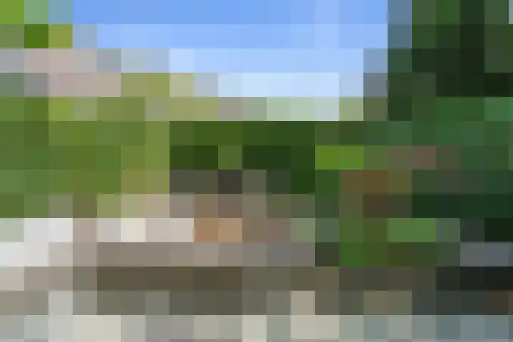 Alexander Numankade 23 A Utrecht thumbnail 34