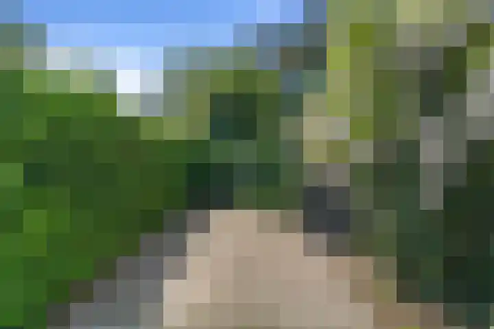 Alexander Numankade 23 A Utrecht thumbnail 35