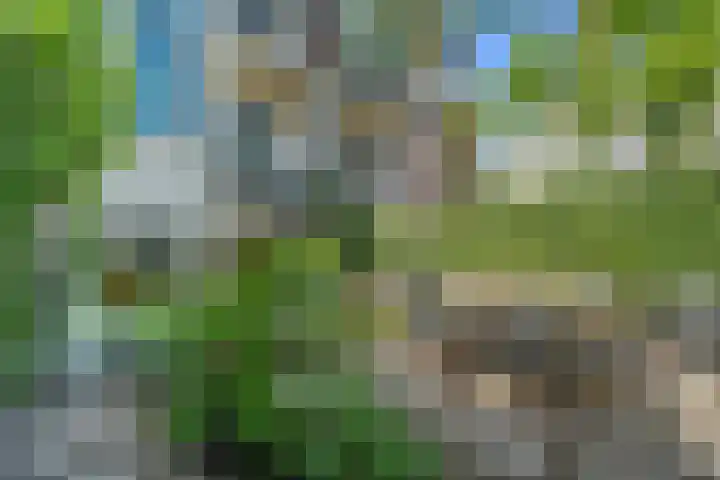 Alexander Numankade 23 A Utrecht thumbnail 36