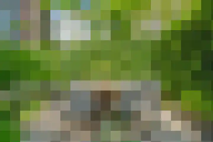 Alexander Numankade 23 A Utrecht thumbnail 37