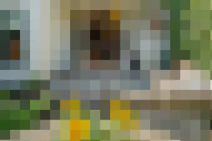 Alexander Numankade 23 A Utrecht thumbnail 38