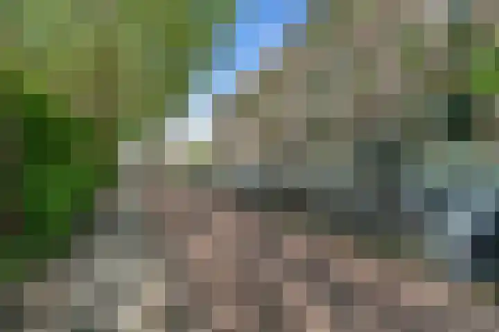 Alexander Numankade 23 A Utrecht thumbnail 4