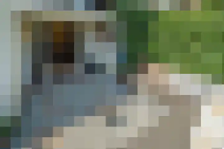 Alexander Numankade 23 A Utrecht thumbnail 40