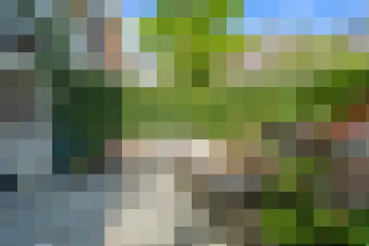 Alexander Numankade 23 A Utrecht thumbnail 41