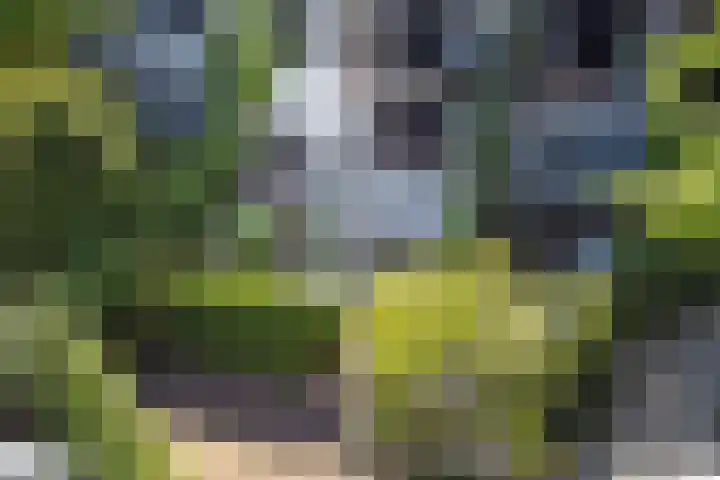 Alexander Numankade 23 A Utrecht thumbnail 43