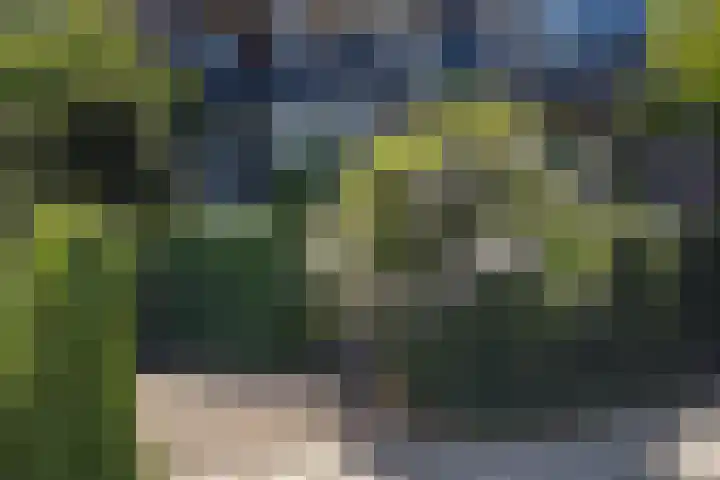 Alexander Numankade 23 A Utrecht thumbnail 44