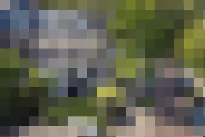 Alexander Numankade 23 A Utrecht thumbnail 45