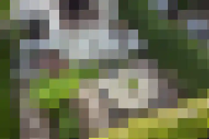 Alexander Numankade 23 A Utrecht thumbnail 46